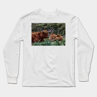 Dartmoor Highland Long Horned Cattle Long Sleeve T-Shirt